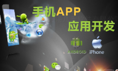 手機app開發(fā)11大步驟、技術(shù)人員、常用接口