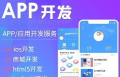 APP軟件開發(fā)公司哪家好？