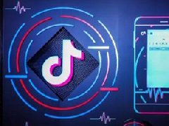 抖音開發(fā)一個app要多少錢